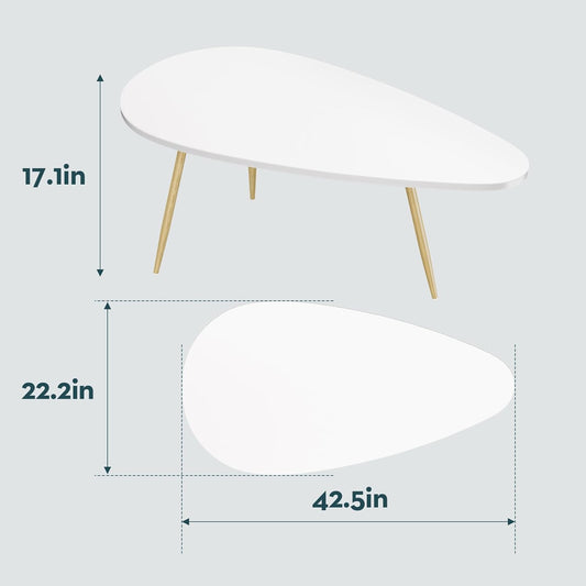 Modern Coffee Table White Oval Coffee Tables for Living Room Simple Center Table for Small Space Home Office Easy Assembly 22.2" D X 42.5" W X 17.1" H, White
