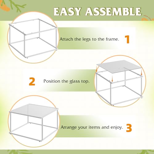 Coffee Table, Glass Coffee Table for Living Room, Modern Small Coffee Table with Tempered Glass & Metal Frame, Square Center Table for Small Spaces Apartment, Office, 26.4 x 26.4in, White