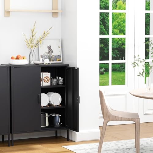 2 Door Metal Storage Cabinet with 2 Shelves, 3 Tier Garage Storage Locker Cabinet for Home, Entryway, Hallway and Office, Assembly Required, Black, (LC-CSG)