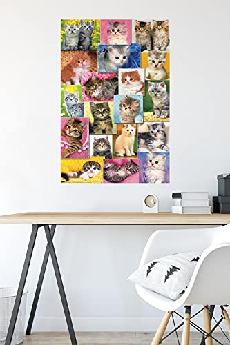 Keith Kimberlin - Kittens Collage Wall Poster, 22.375" x 34", Premium Unframed Version