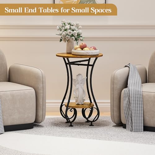X-cosrack Small Round Side Table with Lower Shelf for Small Spaces, Compact End Table for Sofa, Bedside Nightstand, Coffee & Drink Table for Living Room, Bedroom, Balcony