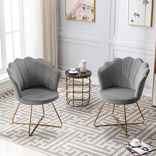 Shell Shaped Velvet Accent Chair, Bedroom Golden Metal Leg Grey