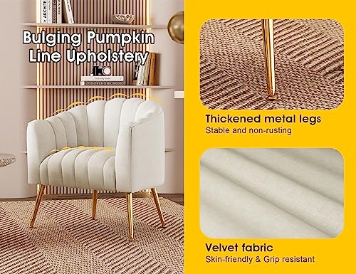 Oversized Pumpkin Couch Accent Chair, Modern Comfy Velvet Upholstered Barrel Chairs, Luxury Single Sofa Armchair for Living Room, Waiting Room, Office and Vanity, (Beige)