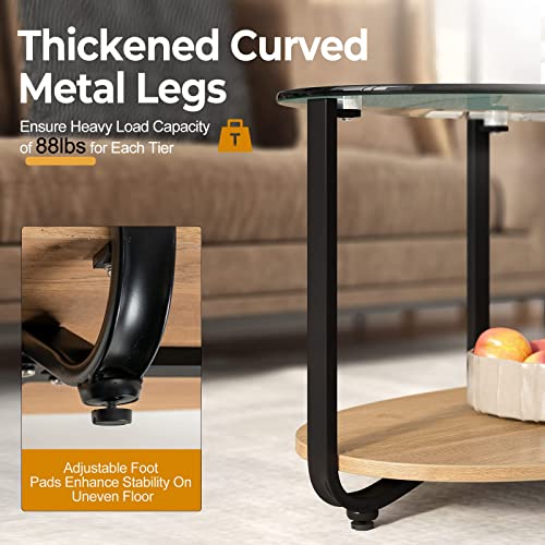Glass Coffee Table, 2 Tier Oval Tea Table with Tempered Glass Tabletop and Wooden Shelf, Modern Glass Sofa Center Table for Home Office, Metal Legs, Home Decor Accent Cocktail Table