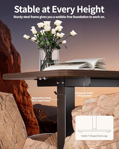 BIZUM Electric Standing Desk 60 x 24 Inch Computer Desk-Gaming Desk Dark Walnut Home Office Desks Height Adjustable Memory Stand Up Computer Workstation