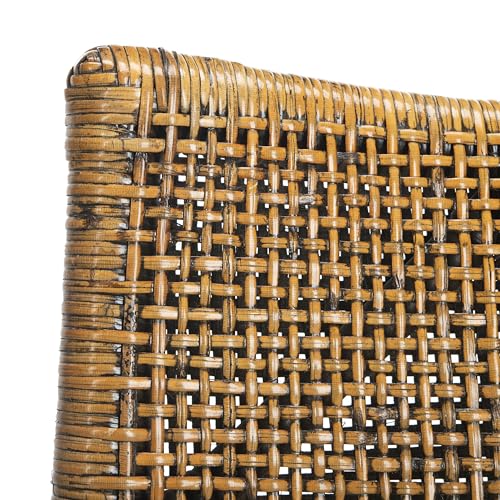 SAFAVIEH Furniture - Gianni Rattan Arm Chair - Brown & Black - Solid Wood - Coastal Open-Arm Design - Ideal for Living Room, Sunroom, Bedroom, 19.8" Seat Height (SEA4011A)
