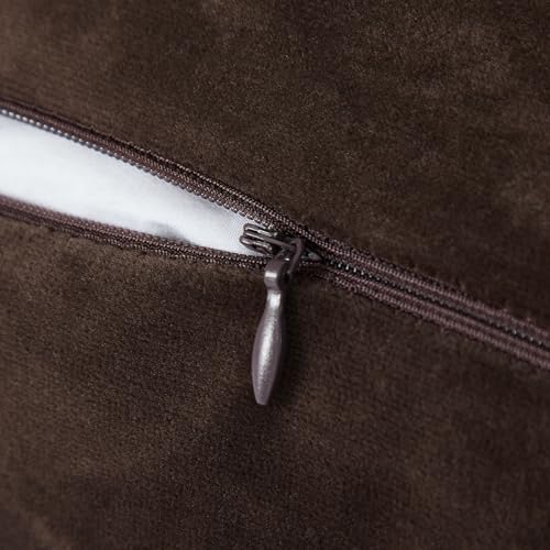 Coffee Velvet Throw Pillow Covers 18x18 Inch Set of 2 with Soft Tassel Fringe Luxury Boho Pillowcase for Sofa Couch Bed Home Decor Machine Washable