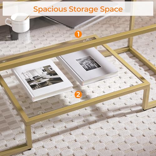 Yaheetech Gold Coffee Table, 42" Rectangular Glass Coffee Table for Living Room, 2-Tier Living Room Tables with Storage Center Tea Tables with Metal Frame for Small Space, Apartment, Office