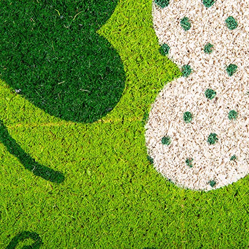 Indoor/Outdoor Natural Coir Fiber Spring/Summer Doormat, 17x29, Top of The Mornin' to Yah!