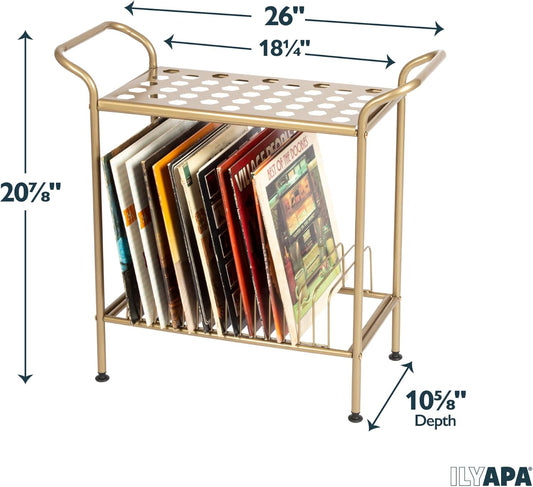 2-Tier Record Player Stand - Gold Metal Vinyl Records Stand with Shelves - Vinyl Player Table with 14 Slots