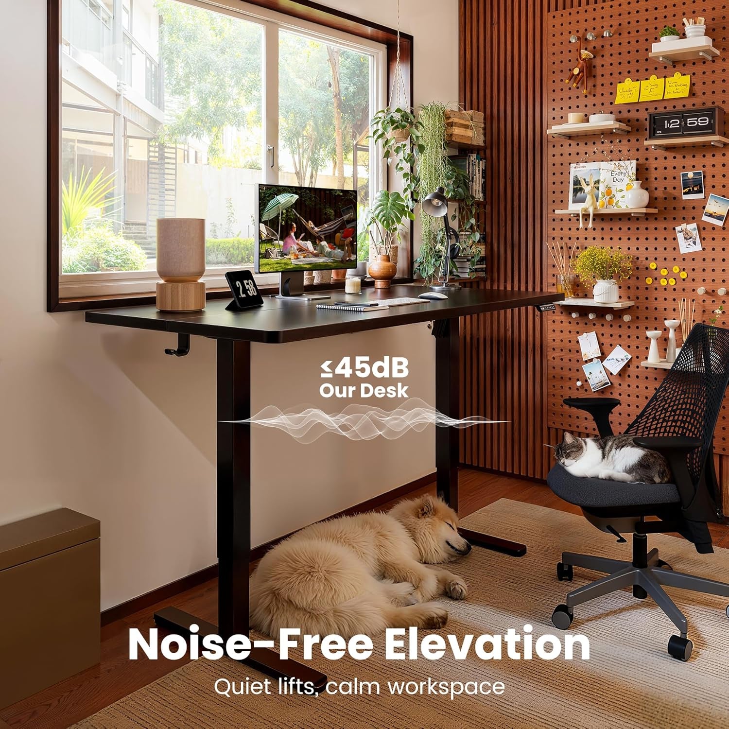 Height Adjustable Electric Standing Desk, 47.2 X 23.6 Inches Sit Stand up Desk, Memory Computer Home Office Desk with Two-Piece Desktop (Black)