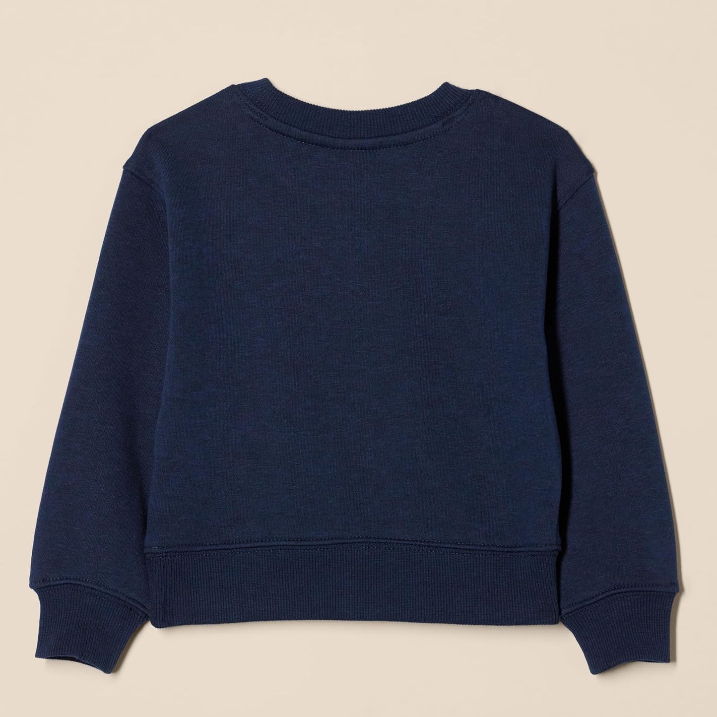 Boys Regular Fit Crew Neck Sweatshirt