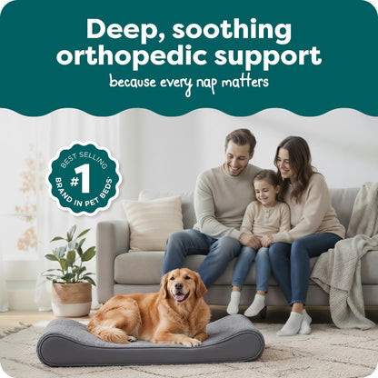 Orthopedic Dog Bed for Large Dogs, Luxe Lounger Contour Mattress with Solid Orthopedic Foam Slab for Joint Support, Removable Washable Cover, Jumbo XL, Plush Suede, Gray