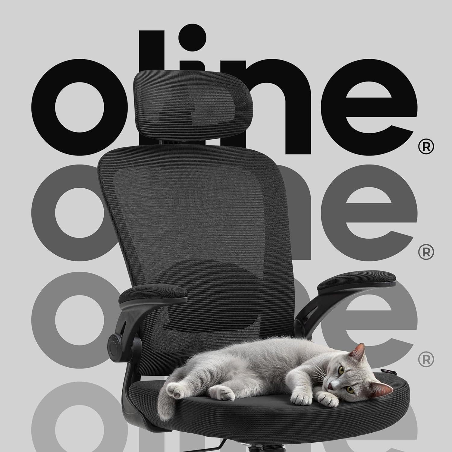 Ergoair Ergonomic Office Chair – Adjustable Lumbar Support, Flip-Up Armrests, Mesh Computer Desk Chair, Swivel Rolling Executive Gaming Chair for Home & Office (Black)