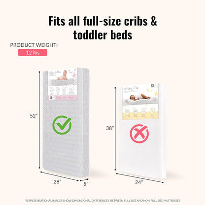 Honeycomb Orthopedic Firm Fiber Standard Baby Crib Mattress, Greenguard Gold and JPMA Certified, 5” Fiber Core Optimum Support, Fits Crib and Toddler Bed, Waterproof Vinyl Cover