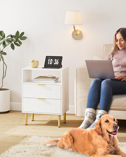 Night Stand,Tall Bedside Table with 3Storage Drawers,White Nightstand,Bedside Furniture,Side Table with Gold Frame,End Table for Bedroom,Living Room (Modern-2Drawers 1Shelf, White)