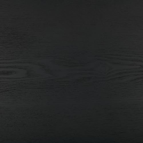 SAFAVIEH Home Collection Osai Black Oval Top Coffee Table (Fully Assembled)