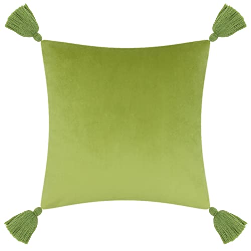 Tiger Velvet Throw Pillow Cover Decorative Flower Embroidered Accent Cushion Case Print Pillowcase for Bed Living Room Couch Bedroom 18x18 Inch Green Tassel
