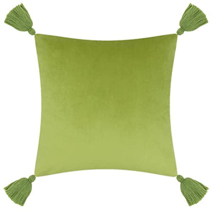 Tiger Velvet Throw Pillow Cover Decorative Flower Embroidered Accent Cushion Case Print Pillowcase for Bed Living Room Couch Bedroom 18x18 Inch Green Tassel