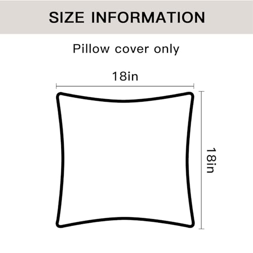Set of 4 Decorative Throw Pillow Covers Soft Velvet Solid Square Pillow Cases Luxury Cushion Covers Case for Sofa Car Patio Bedroom Living Room 18x18 Inch, Black