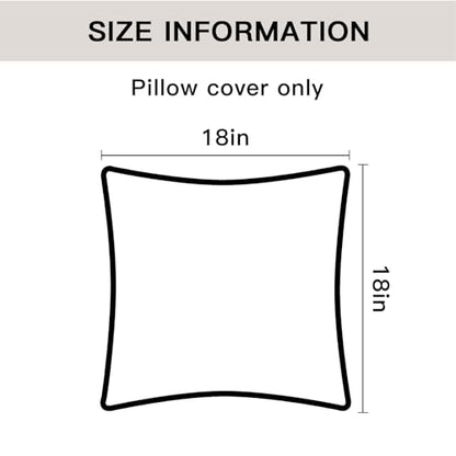 Set of 4 Decorative Throw Pillow Covers Soft Velvet Solid Square Pillow Cases Luxury Cushion Covers Case for Sofa Car Patio Bedroom Living Room 18x18 Inch, Black
