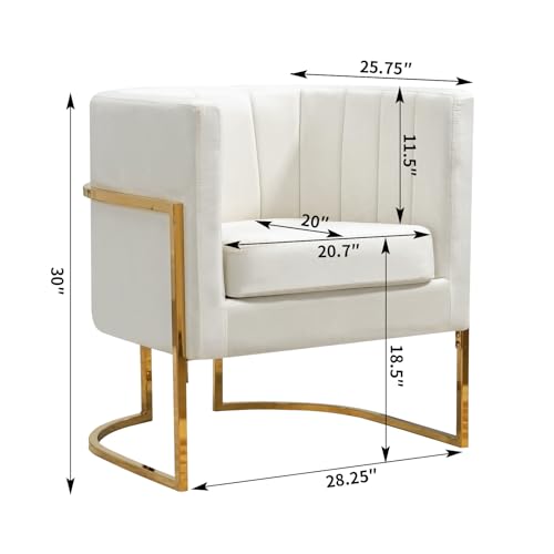 Velvet Accent Chairs Set of 2, Mid Century Modern Upholstered Barrel Armchair with Pillow for Living Room, Comfy Single Club Chair with Metal Gold Legs for Bedroom, White
