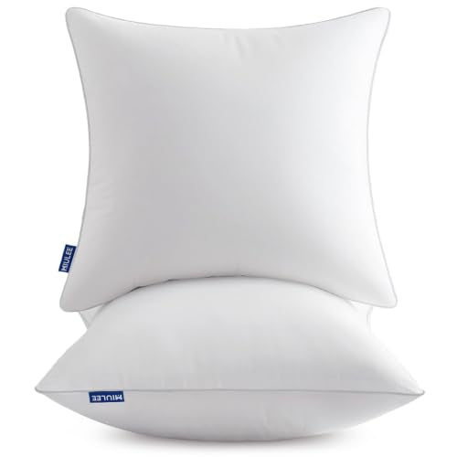 18x18 Inch Pillow Inserts Pack of 2 with 100% Cotton Cover, view 2