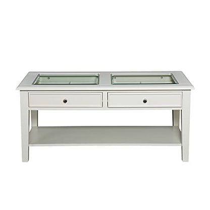 Panorama Glass Top Coffee Table - Transitional Design, Glass and Wood - Ideal for Living Room, Family Room (CK1130)