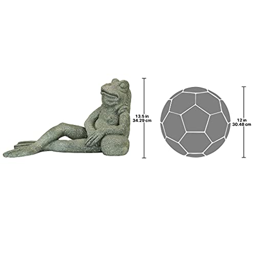 FU84648 The Most Interesting Toad in The World Frog Garden Outdoor Statue, One Size, Gray