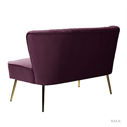 Contemporary Velvet Loveseat Sofa, Upholstered Loveseat Couch with Golden Metal Legs, Small Tufted 2-Seat Sofa Armless Love Seat for Living Room, Bedroom, Apartment Small Spaces, Purple