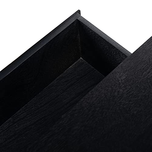SAFAVIEH Home Collection Aliyah Black 2-Drawer Console Table CNS5729A