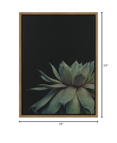 Sylvie Succulent Plant Framed Canvas Wall Art, Botanical Green with Black Background, 18x24 Gold