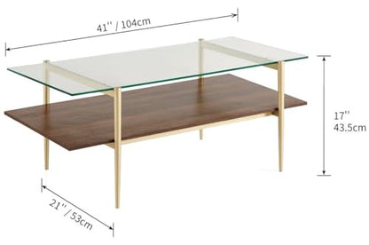 Saint Mossi Tadio Glass Coffee Table, Clear Double Layer Glass Coffee Table for Living Room, Clear Glass & Coffee Brown Bottom Shelf
