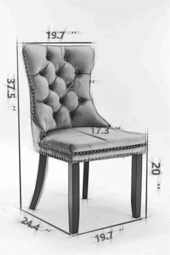 Solid Wood Velvet Upholstered Dining Chair with Golden Stainless Steel Plating Legs,Contemporary Design W/Nailhead Trim,Set of 2,for Living Room,Apartment,Black and Gold