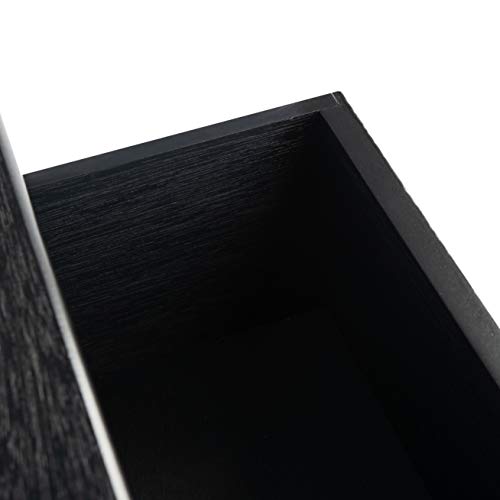 SAFAVIEH Home Collection Ryder Black 2-Drawer Bottom Shelf Console Table CNS5719B