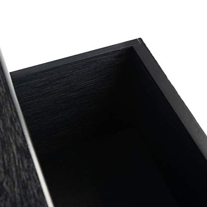 SAFAVIEH Home Collection Ryder Black 2-Drawer Bottom Shelf Console Table CNS5719B