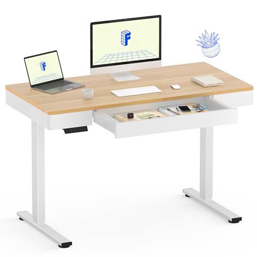 FLEXISPOT Standing Desk with Drawer, 48 x 24 Inch Electric Adjustable Height Stand Up Desk with Storage Organizer, Whole Piece Wooden Desktop for Home, Office, Computer Workstation, Maple