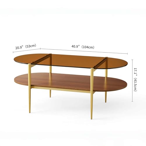Oval Glass Coffee Table, Mid-Century Modern Design, L41 x W21 x H17 inch, for Living Room, 2-Tier Structure, Amber Glass Top and Walnut Finish Wood Shelf, Conical Legs with Gold Finish Frame