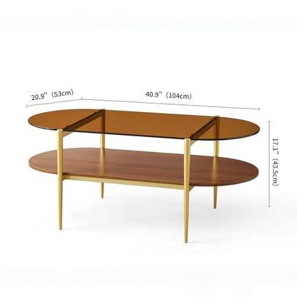Oval Glass Coffee Table, Mid-Century Modern Design, L41 x W21 x H17 inch, for Living Room, 2-Tier Structure, Amber Glass Top and Walnut Finish Wood Shelf, Conical Legs with Gold Finish Frame