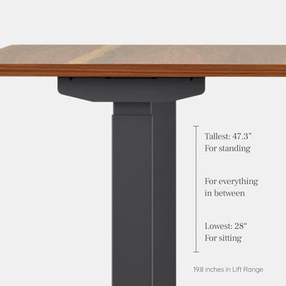 Duo Standing Desk, Adjustable Standing Desk with 20" Range, view 7