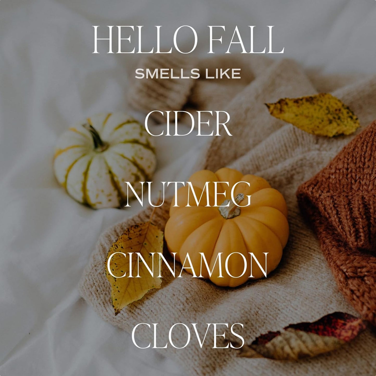 Hello Fall Soy Candles - Fall Candle with Hot Cider, Cinnamon, Cloves, and Nutmeg Scent for Home - Soy Candle with 40 Hours Burn Time - 9Oz Black Lid Amber Jar Candles Fall Scents