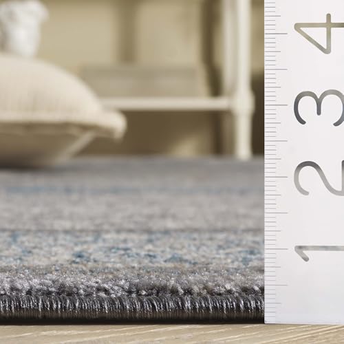 SAFAVIEH Sofia Collection Area Rug - 8' x 10', Light Grey & Blue, Vintage Oriental Distressed Design, Non-Shedding & Easy Care, Ideal for High Traffic Areas in Living Room, Bedroom (SOF365A)