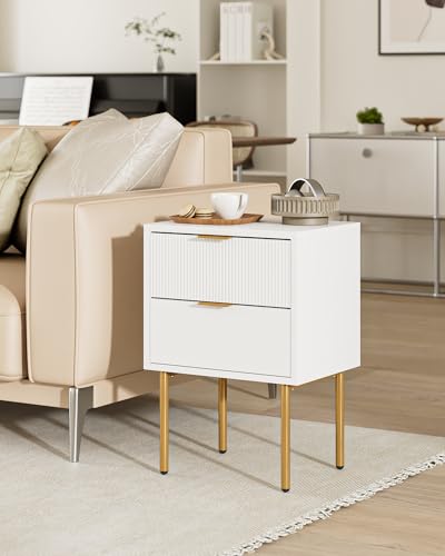 Nightstand,Small Bedside Table with Gold Frame,White Night Stand,Bedside Furniture,Side Table with 2Drawers for Bedroom,Living Room (2Drawers, White)