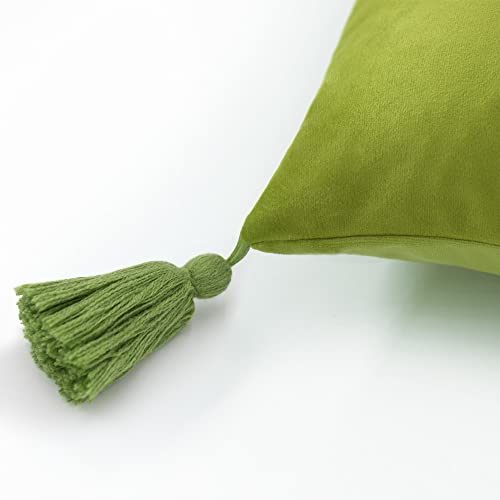 Tiger Velvet Throw Pillow Cover Decorative Flower Embroidered Accent Cushion Case Print Pillowcase for Bed Living Room Couch Bedroom 18x18 Inch Green Tassel