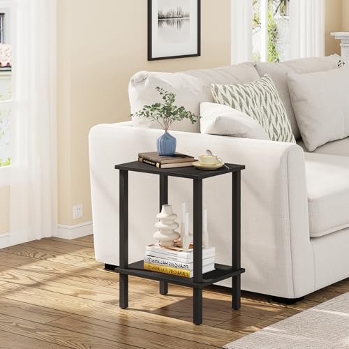 End Table, Set of 2, Side Table, Nightstand, 2-Tier Storage Shelf, Sofa Table for Small Space, Living Room, Bed Room TB01BK035