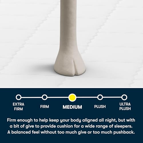 Five Star Mattress Tranquility 8" Medium - Twin Bed Mattress - Zoned Lumbar Support, Cooling Foam, Pressure Relief - Bed-in-a-Box - 100 Night Trial, 10-Year Limited Warranty