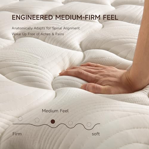 Queen mattress 12 inch,Queen Size Mattresses in a Box,Memory Foam Hybrid Mattress,with Individual Pocket Spring for Motion Isolation &Lumbar Support & Pressure Relief,Fiberglass-Free,Medium Firm