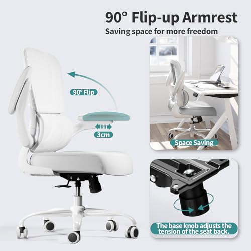 Office Chair, Ergonomic Desk Chair with Adjustable Lumbar Support, view 6