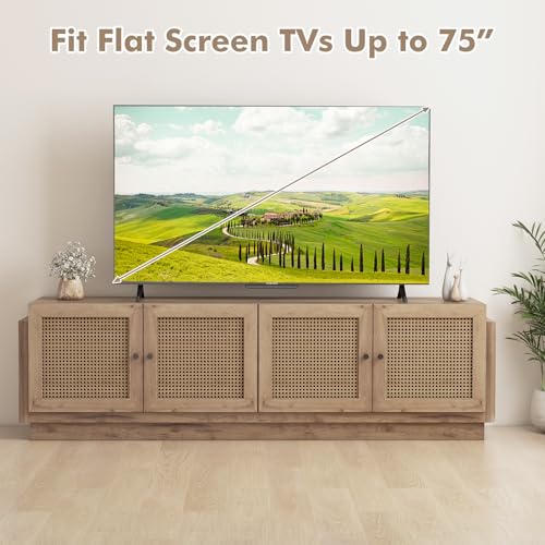 Farmhouse TV Stand for TVs Up to 75-Inch, view 6