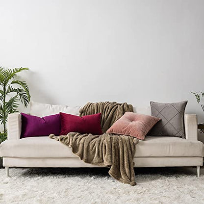 Purple Decorative Lumbar Velvet Throw Pillow Covers 16x24 inch Set of 2 with Zipper Luxury Soft Solid Rectangle Cushion Covers Case for Sofa Couch Bed Living Room